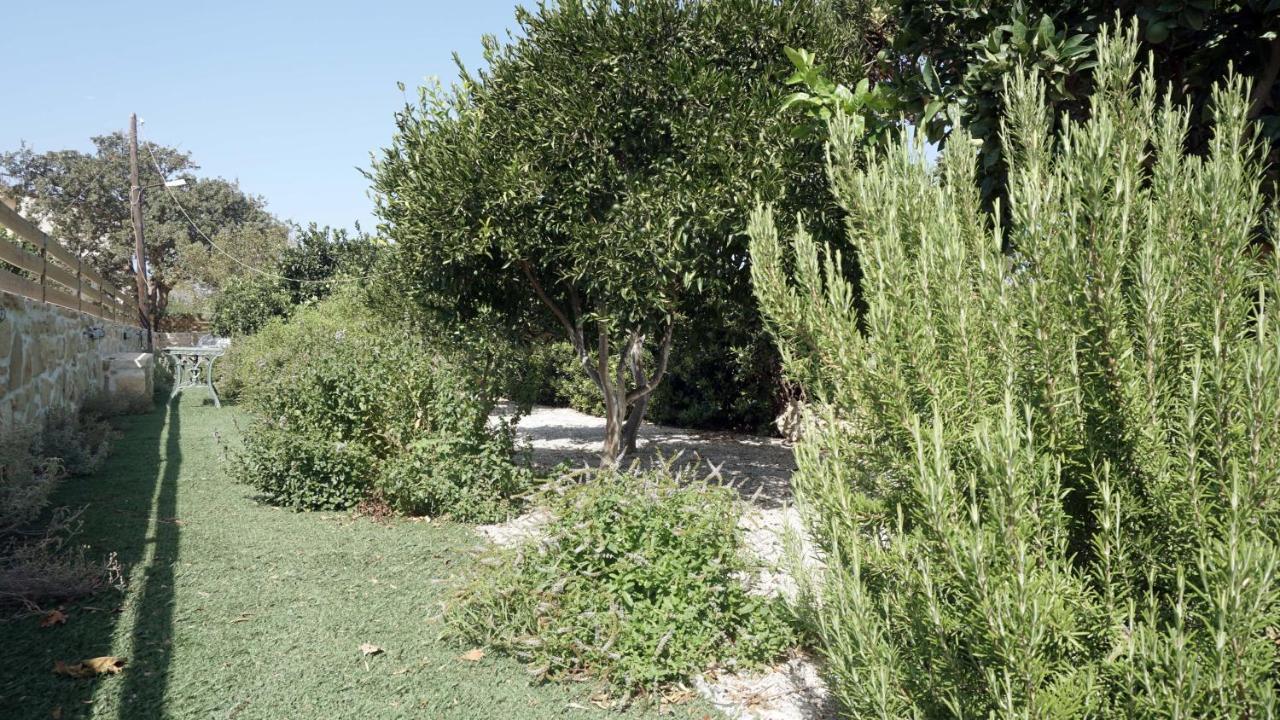 Studio Panagiota - Oasis Holiday Houses Kokkinos Pirgos Ngoại thất bức ảnh