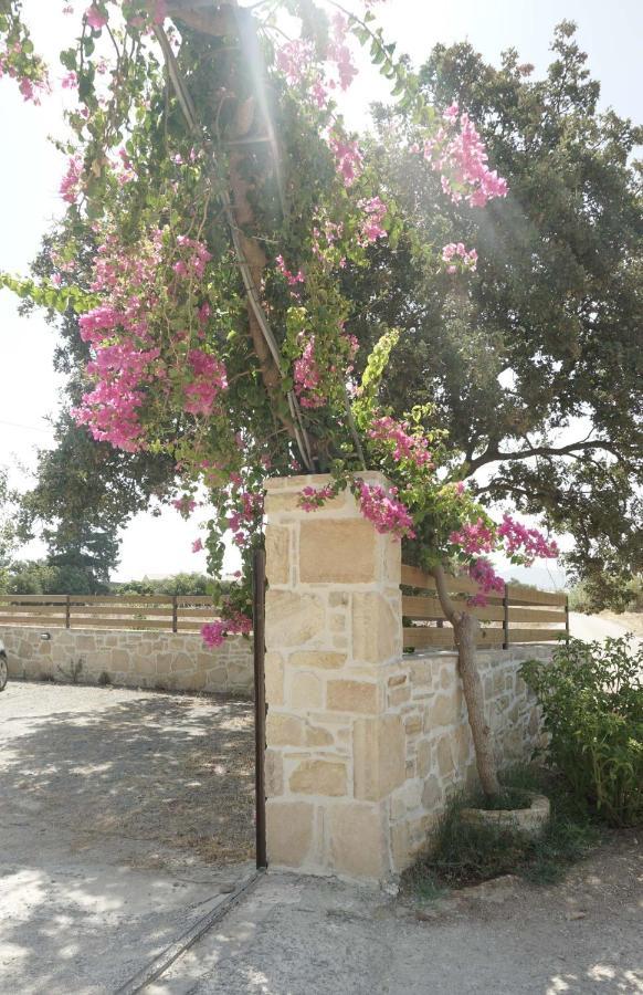 Studio Panagiota - Oasis Holiday Houses Kokkinos Pirgos Ngoại thất bức ảnh